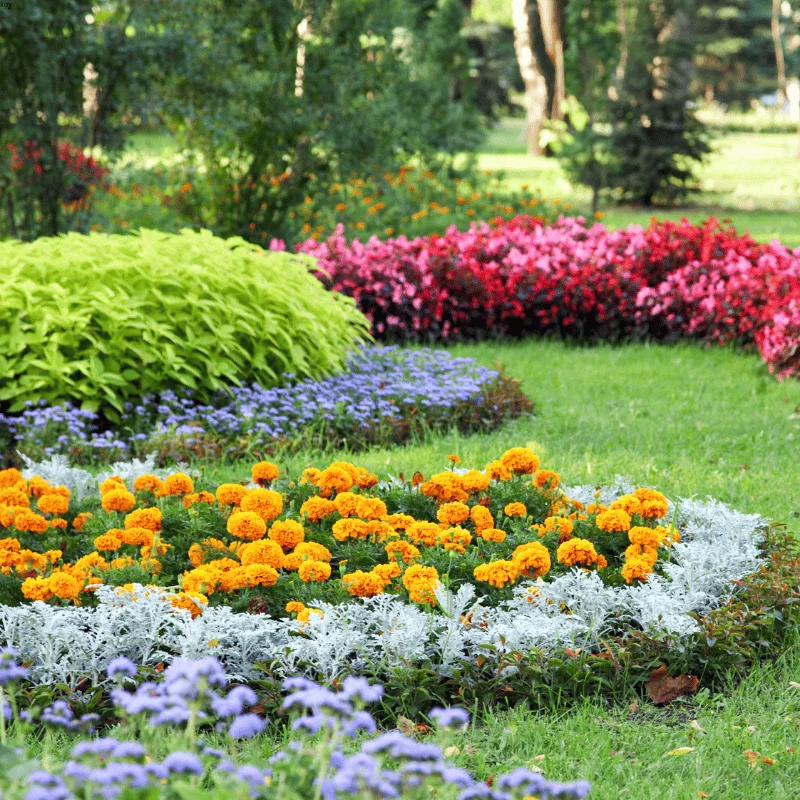 Eco-friendly flexible packaging solutions for lawn and garden products.