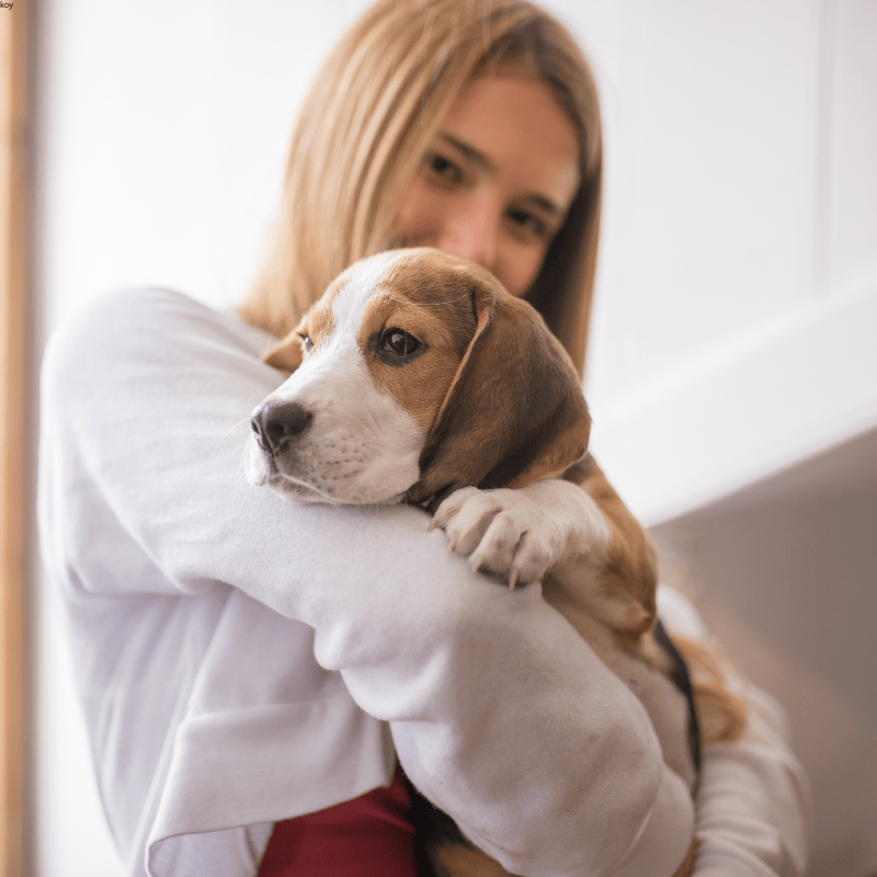 Custom flexible packaging solutions for pet care products, designed to ensure freshness, durability, and eco-friendly branding.