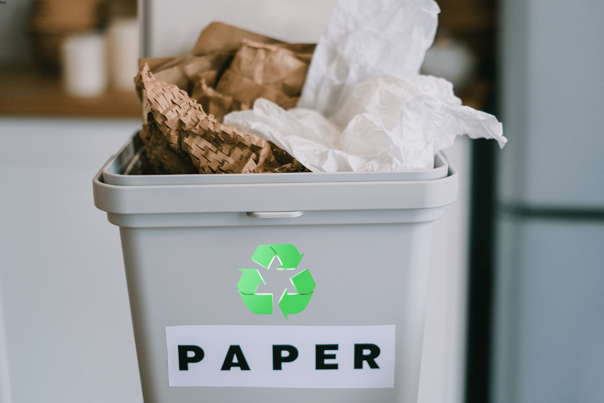 Renewable resource paper packaging in recycling bin